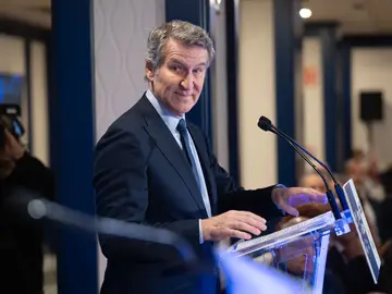 El presidente del PP, Alberto Núñez Feijóo El presidente del PP, Alberto Núñez Feijóo