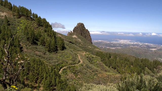  Gran Canaria: la isla que late con la fuerza de un continente