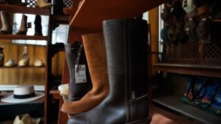 El boto campero de Valverde del Camino en un establecimiento en El Roc&iacute;o