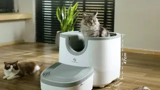 Muchos dueños de gatos están comprando este arenero inteligente que se limpia solo Arenero inteligente para gatos de Furoomate