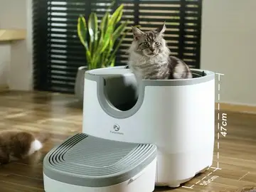 Muchos dueños de gatos están comprando este arenero inteligente que se limpia solo Arenero inteligente para gatos de Furoomate