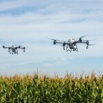 La Comunidad ofrece formaci&oacute;n gratuita para pilotos de dron aplicador de productos fitosanitarios en el sector agrario