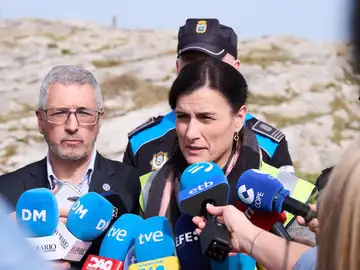 Alcaldesa de Santander sobre la pasarela del Bocal: A lo mejor la causa no es mantenimiento y puede ser estructural Alcaldesa de Santander sobre la pasarela del Bocal: A lo mejor la causa no es mantenimiento y puede ser estructural