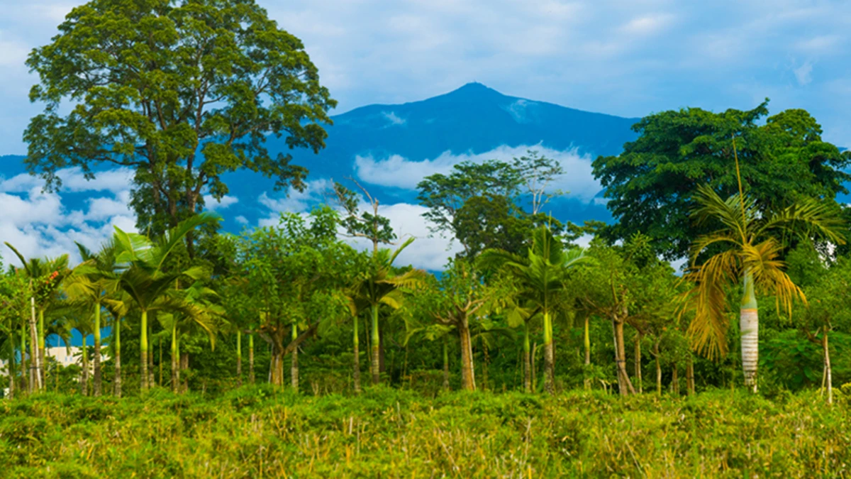 Parque Nacional Malabo, Guinea Ecuatorial