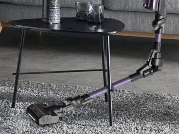 Rowenta Xforce Flex 9.60