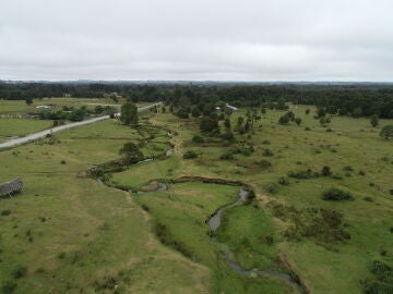 This 2023 image provided by Todd Surovell shows the Monte Verde archaeological site and Chinchihuapi Creek in Chile. (Todd Surovell via AP)