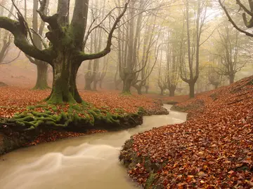 El pueblo del País Vasco donde “vive” una diosa ancestral entre bosques y montañas El pueblo del País Vasco donde “vive” una diosa ancestral entre bosques y montañas