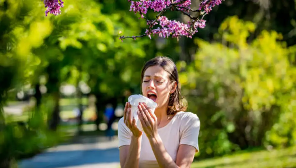 Qué deben tomar los alérgicos para no estornudar con la alergia