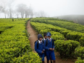 La Gala Esentia ser&aacute; la primera gran cita solidaria dedicada a la infancia de la Fundaci&oacute;n Vicente Ferrer