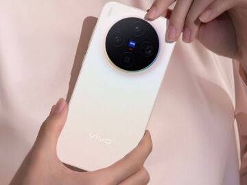 vivo X300
