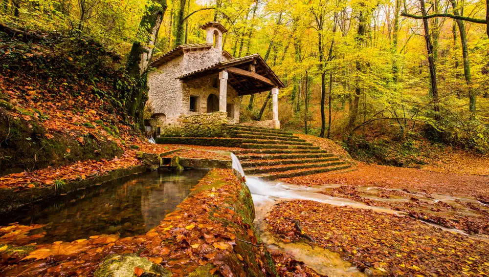 La Fageda d'en Jordà