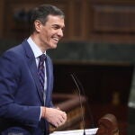S&aacute;nchez comparece en el Congreso sobre la crisis en Ir&aacute;n
