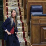 Sesi&oacute;n plenaria del Congreso de los Diputados
