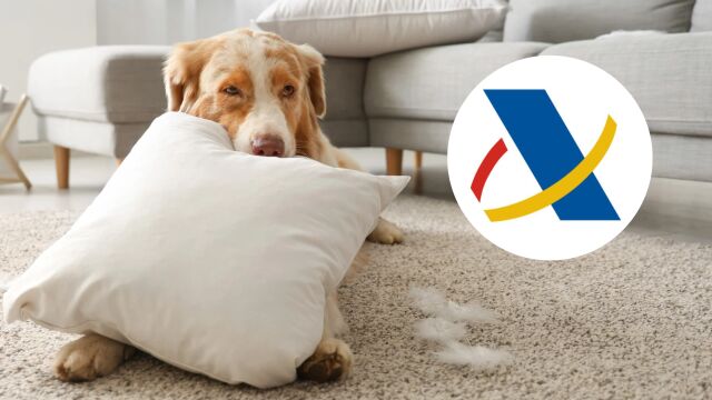 Imagen de archivo de un perro junto al logo de la Agencia Tributaria