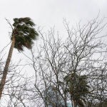Alerta Naranja por viento en Menorca