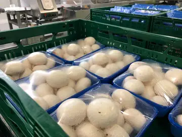 El Gobierno regional impulsa la integración comercial de las industrias agroalimentarias y cooperativas con un millón de euros en ayudas para las Agrupaciones de Productores El Gobierno regional impulsa la integración comercial de las industrias agroalimentarias y cooperativas con un millón de euros en ayudas para las Agrupaciones de Productores