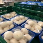 El Gobierno regional impulsa la integraci&oacute;n comercial de las industrias agroalimentarias y cooperativas con un mill&oacute;n de euros en ayudas para las Agrupaciones de Productores