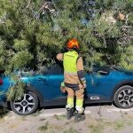Imagen de un servicio realizado por efectivos del Consorcio de Bomberos de Castell&oacute;n como consecuencia del viento.