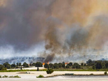 TOTANA, (MURCIA), 29/03/2026.- Incendio forestal que se ha iniciado este domingo en el paraje Llano de las Cabras del t&eacute;rmino municipal de Totana. El incendio con un frente de m&aacute;s de dos kil&oacute;metros de longitud, participan en en su extinci&oacute;n dos helic&oacute;pteros de las brigadas contra incendios de la Comunidad de Murcia. EFE/Marcial Guill&eacute;n 