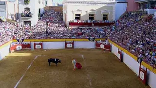 La Feria de las Novilladas de Algemesí ya tiene presupuesto La Feria de las Novilladas de Algemesí ya tiene presupuesto