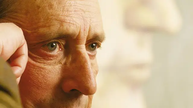 Miguel Delibes. Una sombra alargada Miguel Delibes. Una sombra alargada