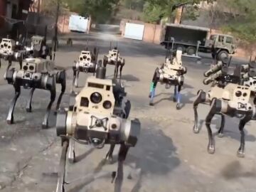 China muestra manadas de perros robot armados que operan de forma coordinada.