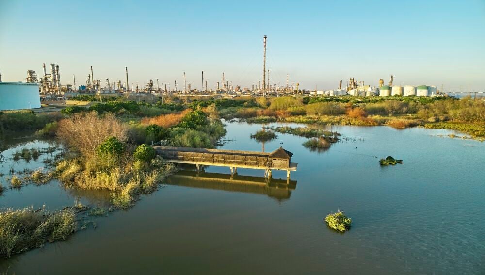 Vista de la Laguna Primera de Palos, humedal restaurado con alta biodiversidad en el litoral de Huelva