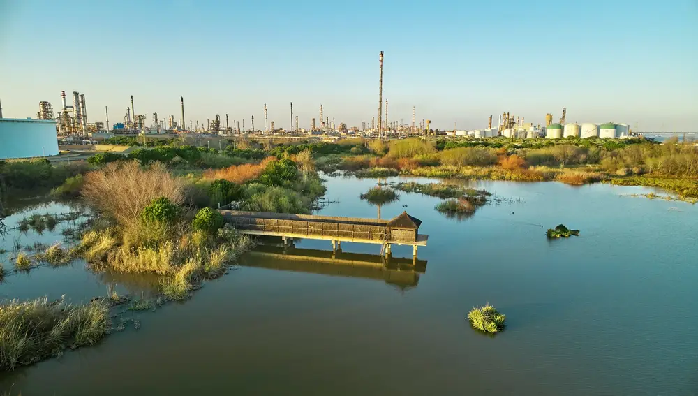 Vista de la Laguna Primera de Palos, humedal restaurado con alta biodiversidad en el litoral de Huelva