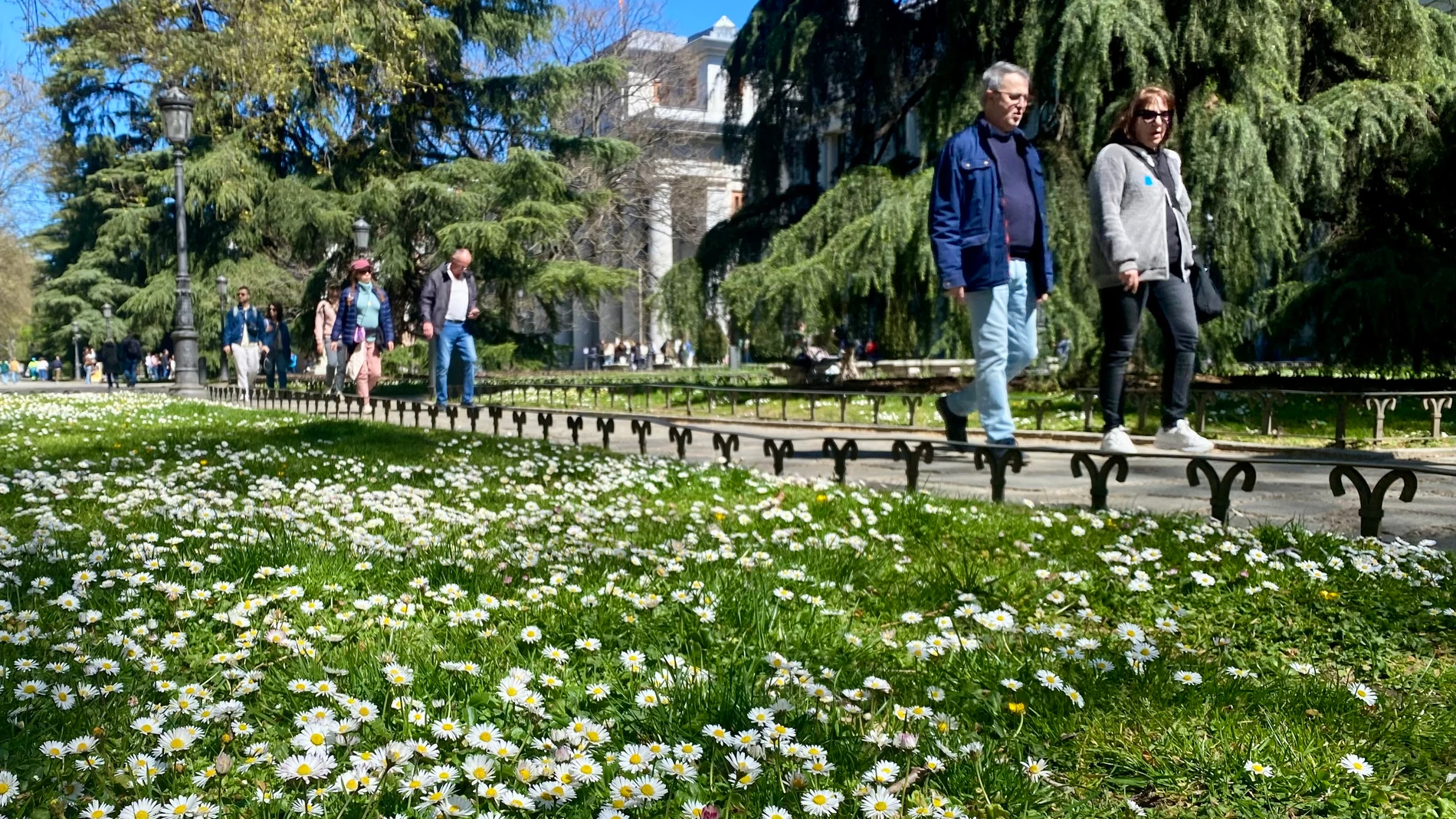 Lluvias y tormentas marcan el sábado en Madrid con descenso térmico a 19 grados — image 1