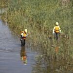 El Ayuntamiento comienza la campa&ntilde;a contra la mosca negra en el r&iacute;o Manzanares
