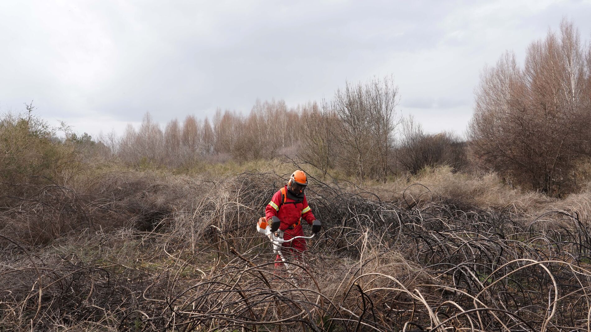 El Plan Anual de Incendios contempla más de 90 millones de inversión para prevención en 2026, el 60% desarrollado por cuadrillas terrestres