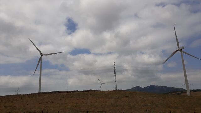 Molinos de viento en la N-340, en Tarifa (C&aacute;diz).