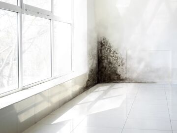 Imagen de archivo de una pared con humedad por condensaci&oacute;n