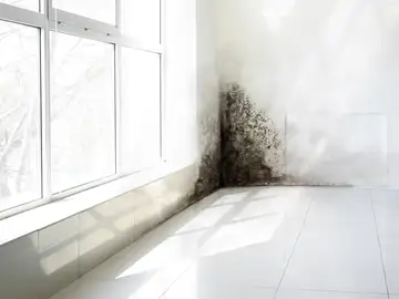 Imagen de archivo de una pared con humedad por condensación Imagen de archivo de una pared con humedad por condensación