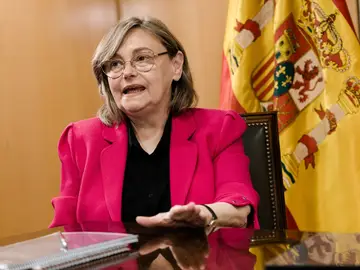 La vocal del Consejo General del Poder Judicial (CGPJ), Esther Erice La vocal del Consejo General del Poder Judicial (CGPJ), Esther Erice