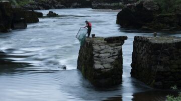 Un pescador en el Mi&ntilde;o. 