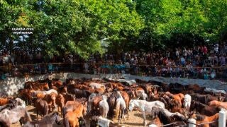 Cinco detenidos por robar más de 70 caballos y matar a cinco de ellos en la sierra de O Barbanza (A Coruña)REMITIDA / HANDOUT por Guardia CivilFotografía remitida a medios de comunicación exclusivamente para ilustrar la noticia a la que hace referencia la imagen, y citando la procedencia de la imagen en la firma13/04/2026