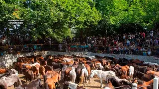 Imagen de archivo de un curro con caballos. Cinco detenidos por robar más de 70 caballos y matar a cinco de ellos en la sierra de O Barbanza (A Coruña)REMITIDA / HANDOUT por Guardia CivilFotografía remitida a medios de comunicación exclusivamente para ilustrar la noticia a la que hace referencia la imagen, y citando la procedencia de la imagen en la firma13/04/2026