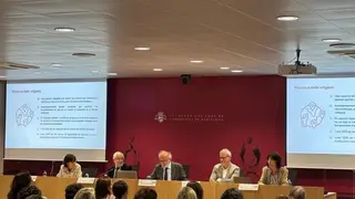 El director de la Dgppia insta a la abogacía a "hacer piña" para mejorar la protección de menores El director de la Dgppia insta a la abogacía a "hacer piña" para mejorar la protección de menores