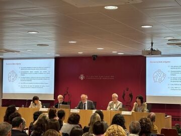 El director de la Dgppia insta a la abogac&iacute;a a "hacer pi&ntilde;a" para mejorar la protecci&oacute;n de menores