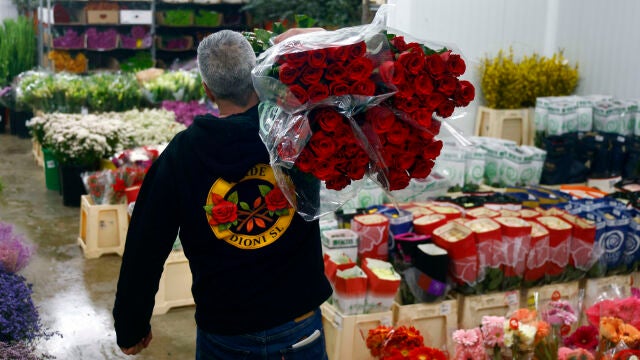 GRAFCAT1131. BARCELONA, 14/04/2026.- Aspecto de Mercabarna-flor este martes cuando el mercado mayorista ha anunciado que prev&eacute; que este Sant Jordi se comercialicen unos 7 millones de rosas en Catalu&ntilde;a, en una campa&ntilde;a marcada por una elevada participaci&oacute;n ciudadana y un ligero aumento de precios derivado del encarecimiento del transporte y los costes de producci&oacute;n. EFE/Quique Garc&iacute;a 