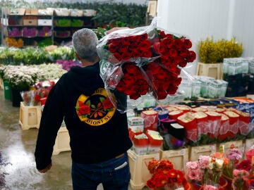 Unos 7 millones de rosas se comercializar&aacute;n en Sant Jordi, con un ligero aumento de precio