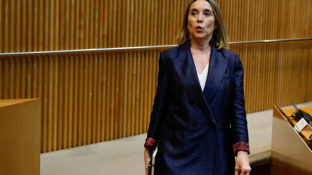 MADRID, 14/04/2026.- La diputada Cuca Gamarra a su llegada a la reuni&oacute;n organizada por el l&iacute;der del PP, Alberto N&uacute;&ntilde;ez Feij&oacute;o, con sus parlamentarios para concretar la estrategia de la formaci&oacute;n para las pr&oacute;ximas semanas, este martes en el Congreso. EFE/Mariscal
