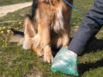 Multa de hasta 750 euros a vecinos por no recoger las heces de sus mascotas Multa de hasta 750 euros a vecinos por no recoger las heces de sus mascotas