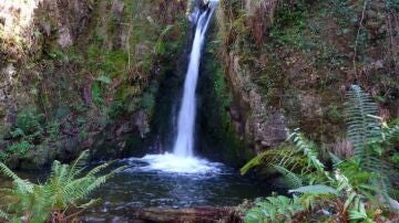 Asturias revoluciona el senderismo con una propuesta que une naturaleza y gastronom&iacute;a