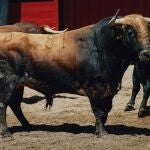 1&ordm; N&ordm; 81. "Tallista"