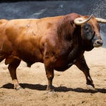 5&ordm; N&ordm; 73. "Barredor"