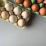 El fin del confinamiento de aves en España: cómo afectará al precio del pollo y los huevos