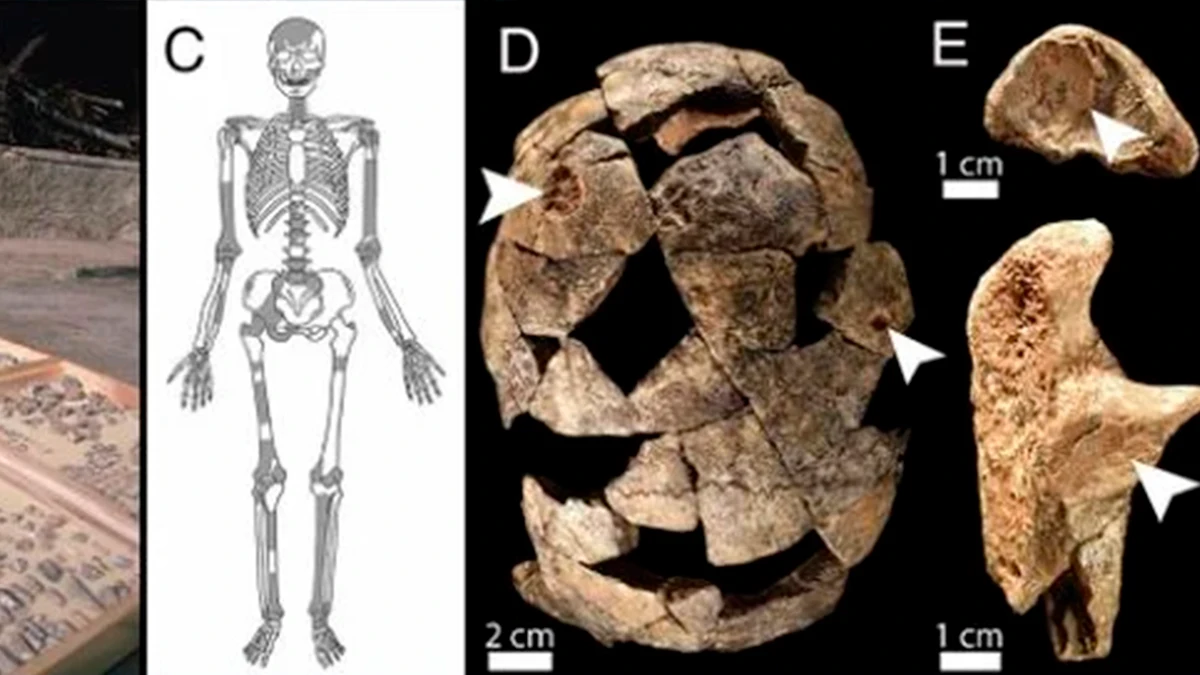 100.000 años bajo tierra: hallan restos humanos en un paisaje congelado en el tiempo