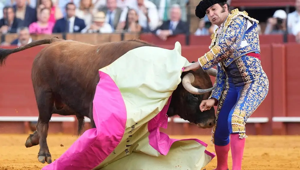 Morante de la Puebla abandona la UCI tras su trágica cornada: "He tenido un dolor inmenso y muchísimo miedo"